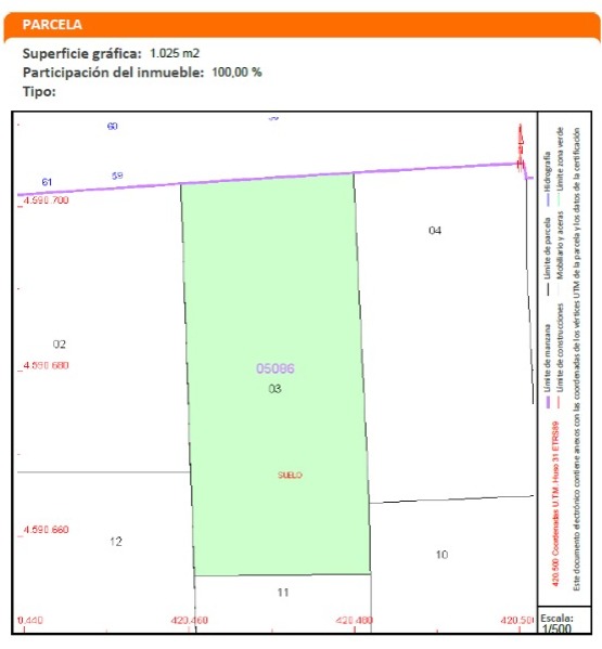 WhatsApp Image 2026-01-19 at 16.53.29