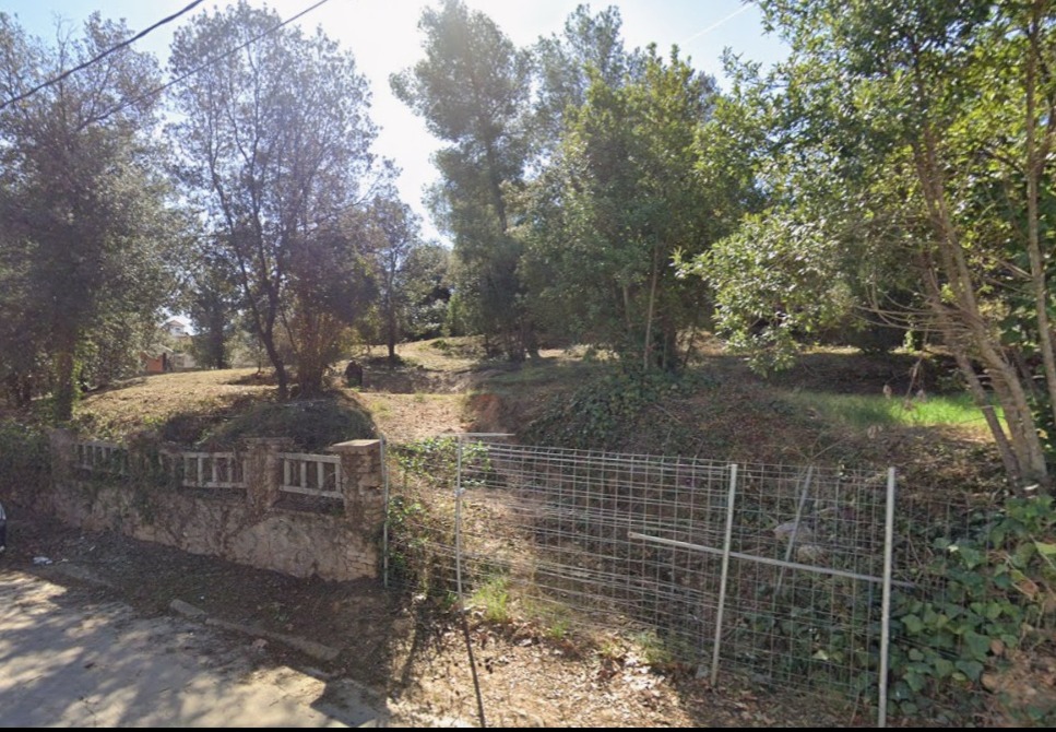 WhatsApp Image 2026-01-19 at 16.53.30