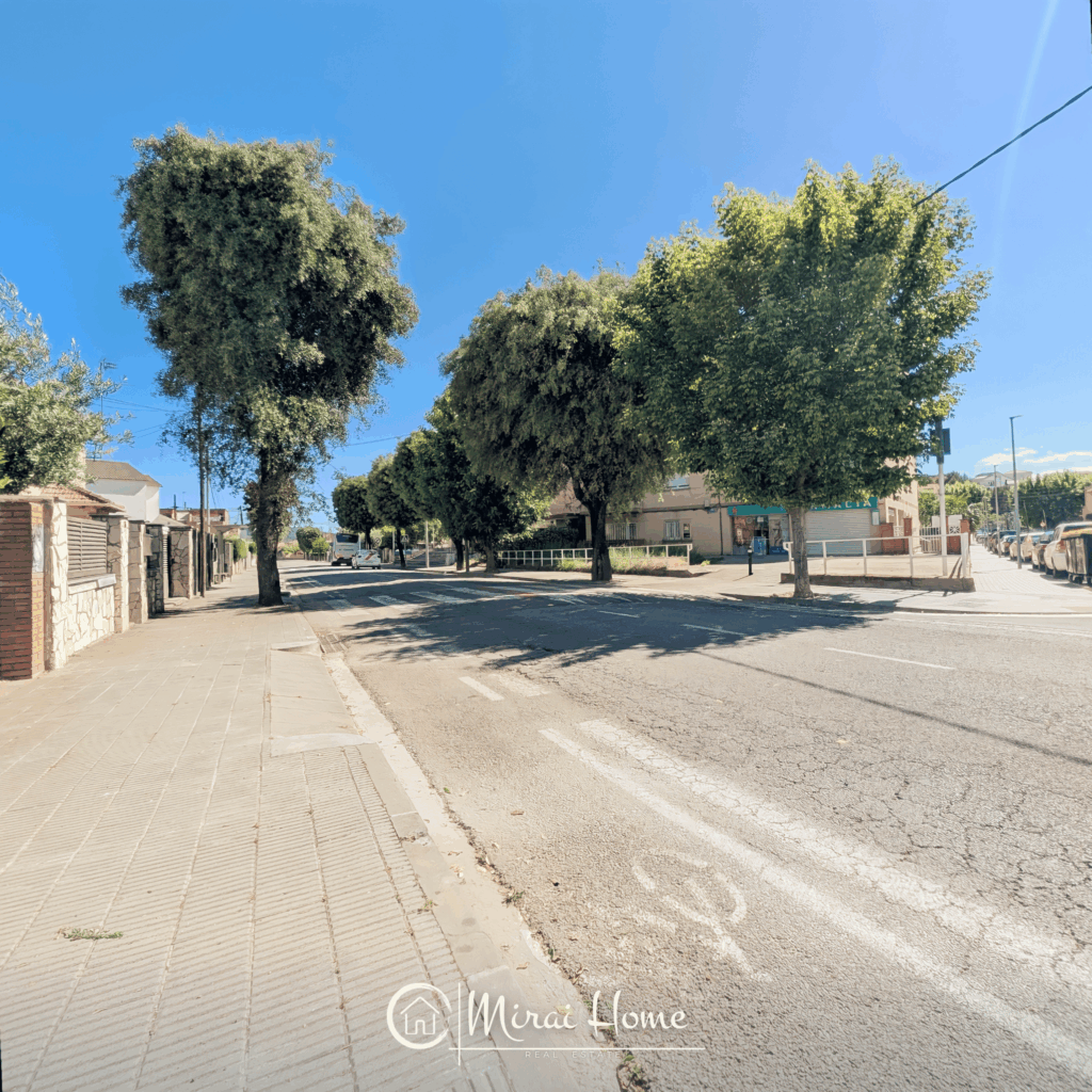 Imagen (16)